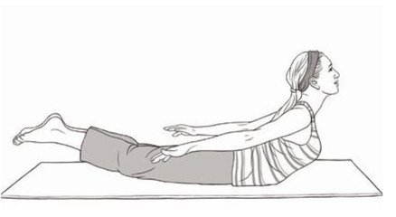 小飞燕.jpg 小飞燕.jpg